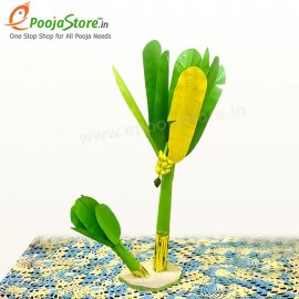 Artificial Banana Tree Pair (17 Inches), Navaratri Durga Pooja, Dussehra Festival Decoration, Diwali Festival, Festival Gifts